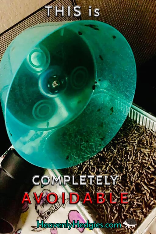 A moderately poopy wheel over a litter pan for a hedgehog being litter trained