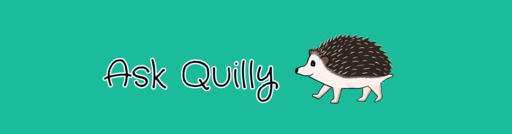 a banner that says Ask Quilly