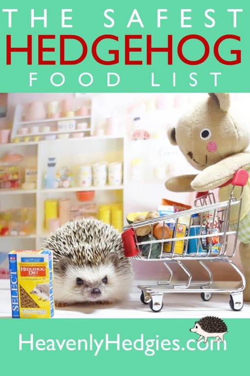 A hedgehog in a toy grocery store with a mini cart, mini groceries, and a teddy bear
