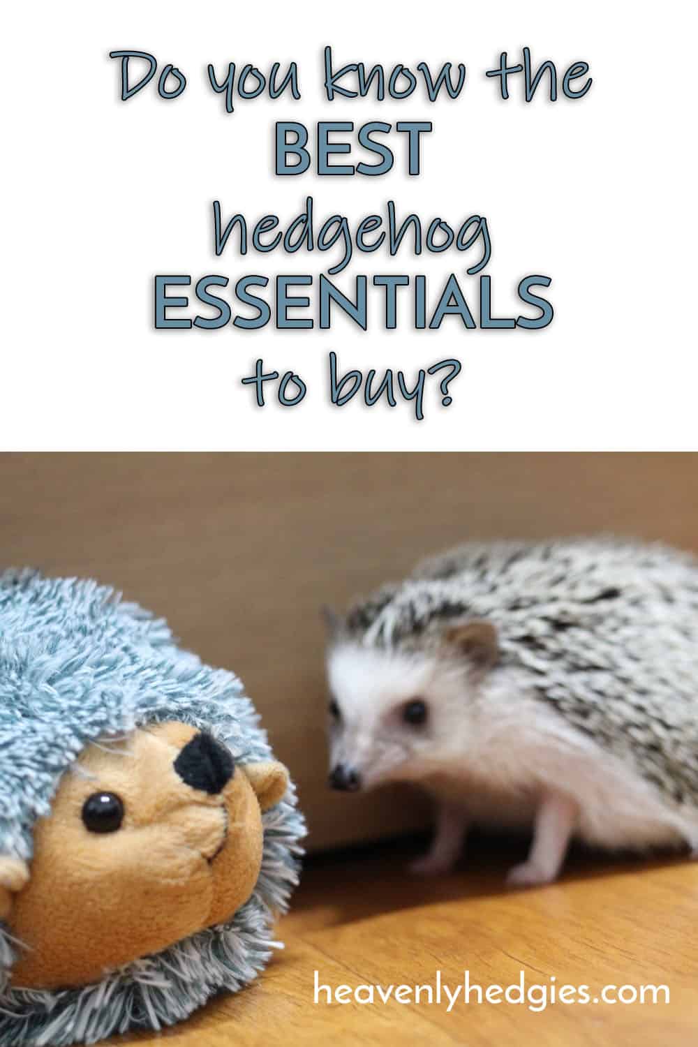 A Hedgehog Checklist: Must-Have Essentials - Heavenly Hedgies