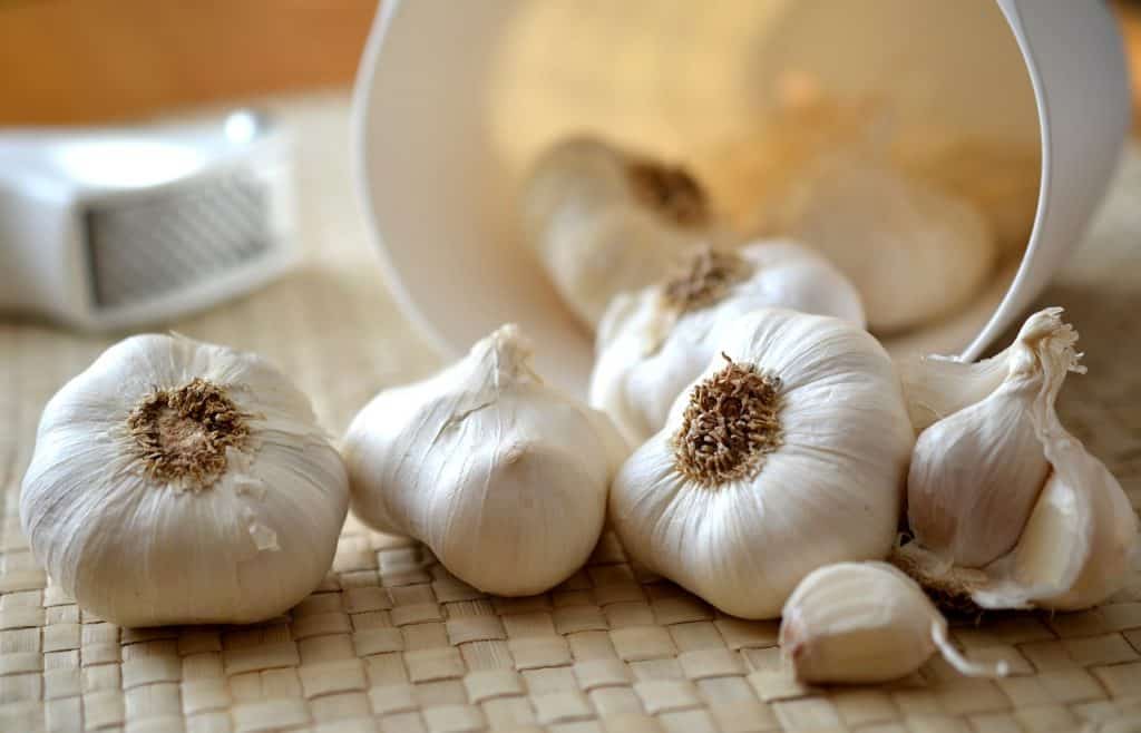 a source of hedgehog anointing - garlic with a strong odor