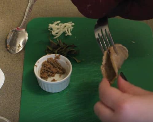 Stuffing hedgehog safe food tacos with wet cat food and salmon