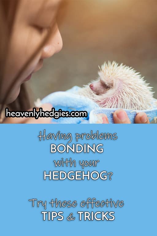 woman speaking softly to curled up hedgehog in her hand