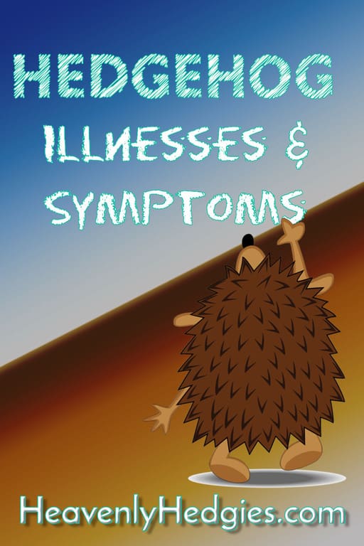 Cartoon hedgehog writing text that reads hedgehog illnesses and symptoms