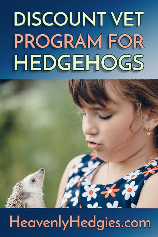 Little girl holding her pet hedgehog