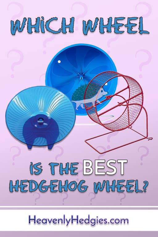 the best hedgehog wheel explained