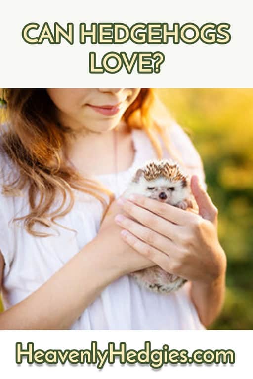girl using a hedgehog as her emotional support animal