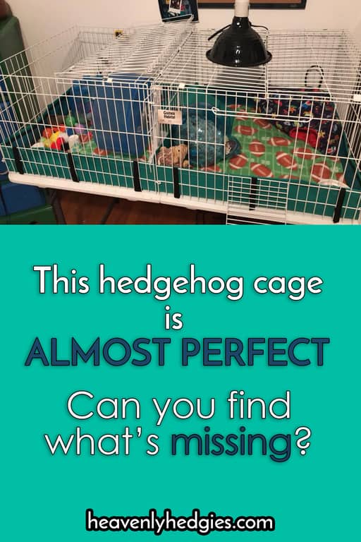 picture of a hedgehog ranch style cage
