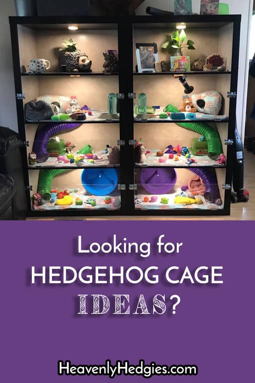 picture of a bookshelf converted into multi-story hedgehog cages