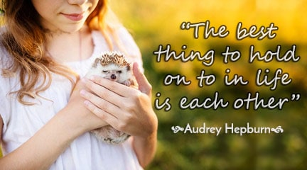 Audrey Hepburn quote about love and hedgehogs
