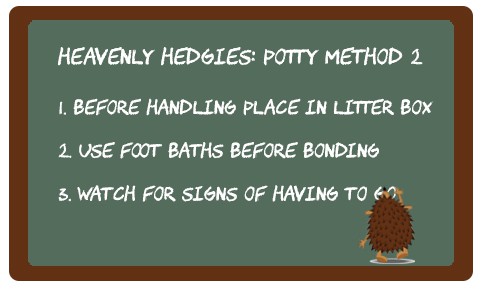 chalk board explaining potty training tips 2