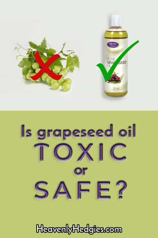 Grapeseed oil from grapes but are both toxic