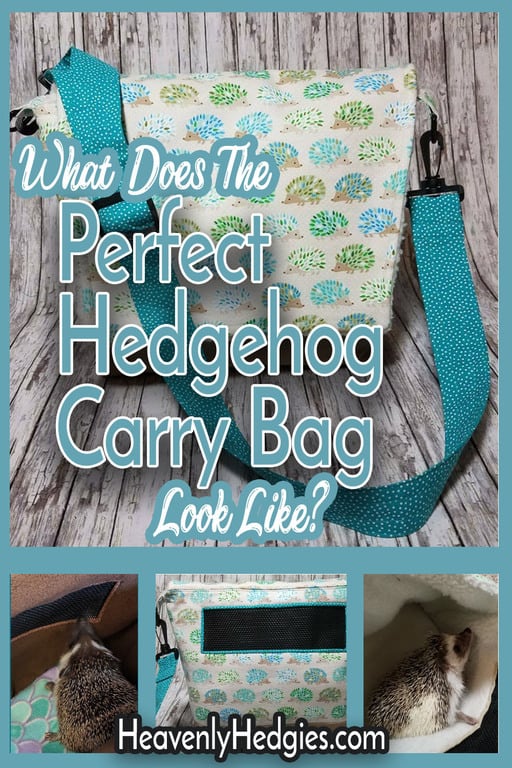 the best hedgehog carry bag is displayed here