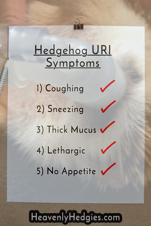 List of hedgehog uri symptoms