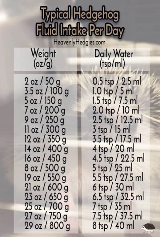 Recommended hedgehog water intake chart