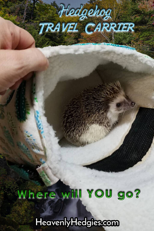 hedgehog travel carrier with a scenic backdrop