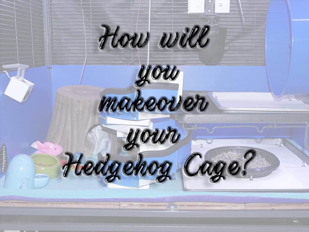 Critter Nation hedgehog cage makeover cover