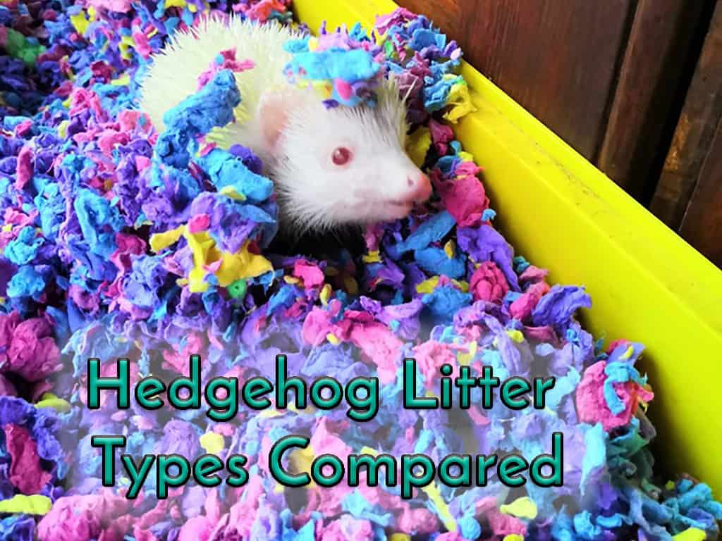 paper fluff hedgehog litter