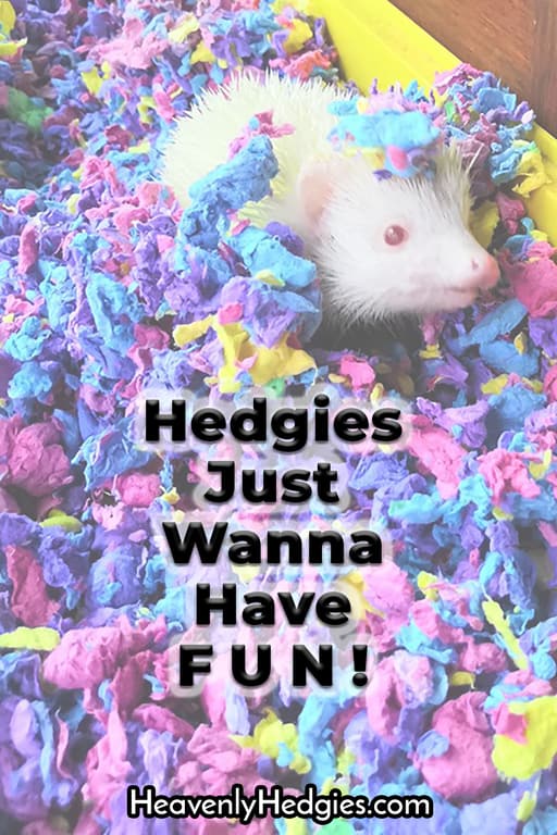 hedgehog buried in paper fluff hedgehog litter