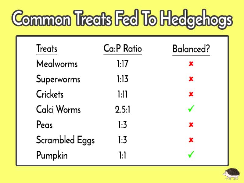 Common treats offered daily are a problem with starting metabolic bone disease in hedgehogs.