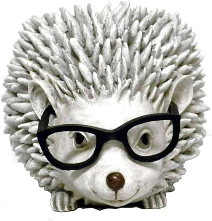 hedgehog plater wearing eye glasses