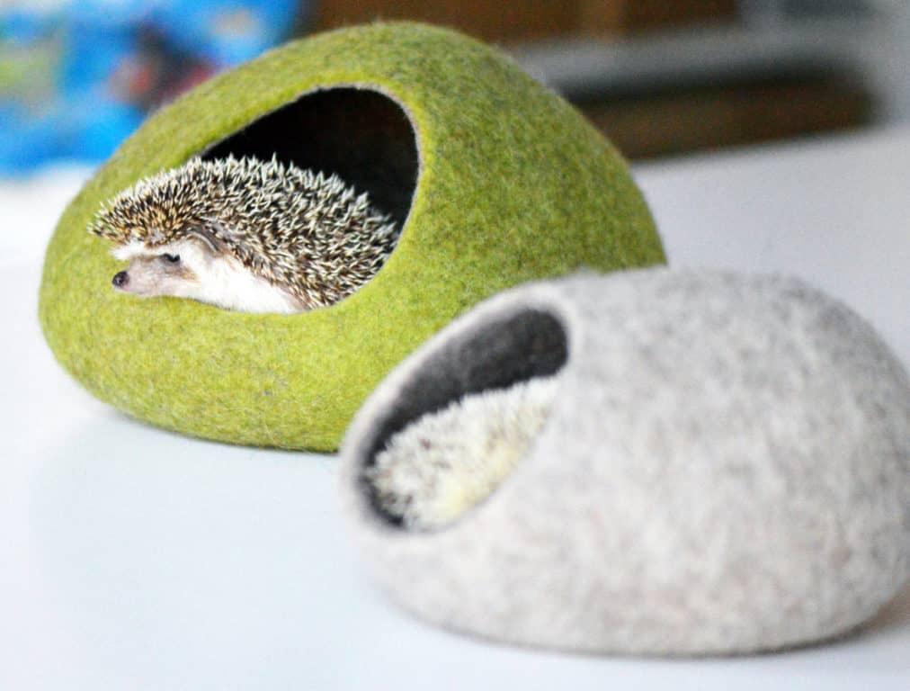 the low profile and minimalist looking cave hide-away make good presents for hedgehogs