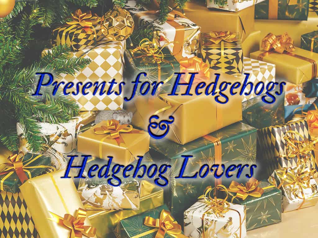 hedgehog peeking out hidden amongst presents for him and his hedgehog lover parents