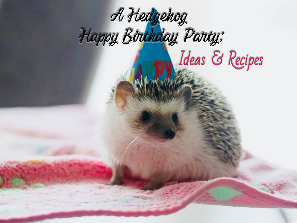 A small hedgehog with a birthday hat and the meme that says a hedgehog happy birthday: party ideas and recipes