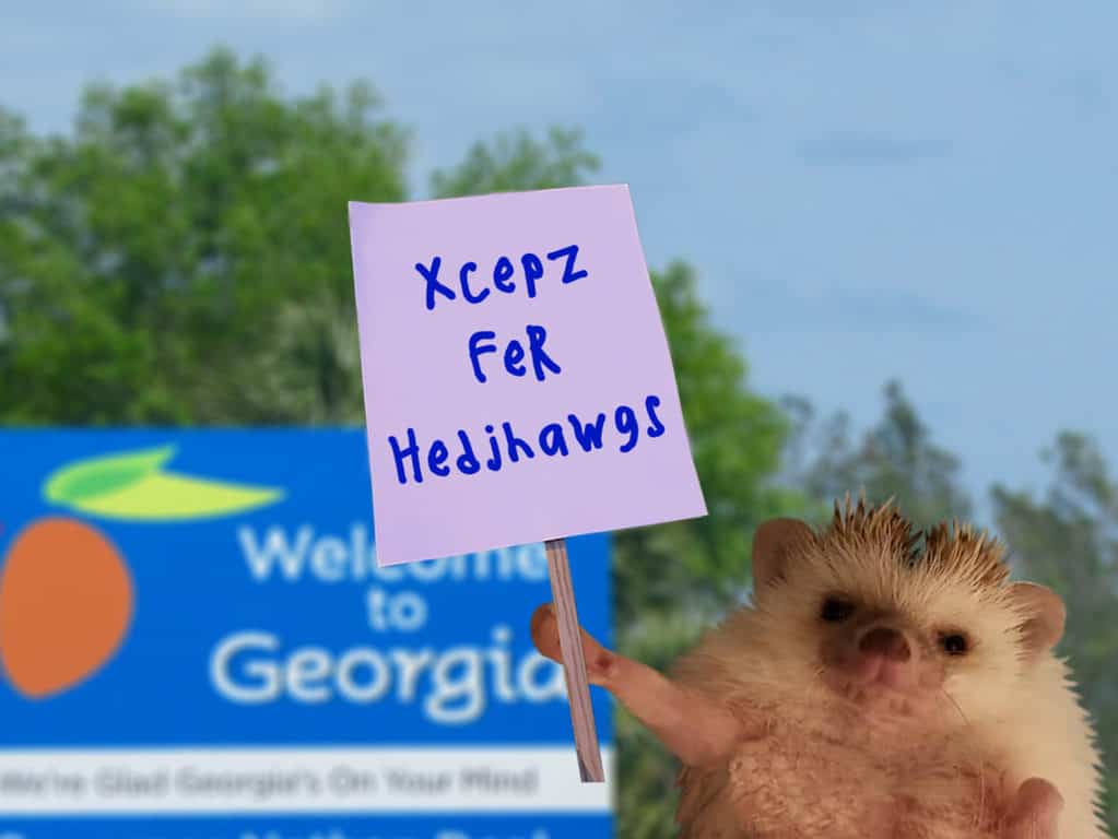 hedgehog holding a protest sign in front of a blurred background of Georgia's welcome sign where they're illegal