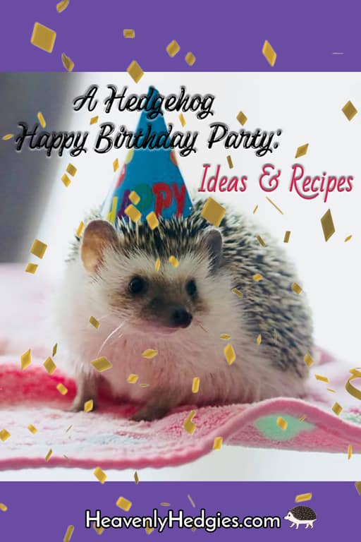 a hedgehog wearing a party hat and confetti falling with the meme A Hedgehog Happy Birthday Party: Ideas & Recipes and heavenlyhedgies.com