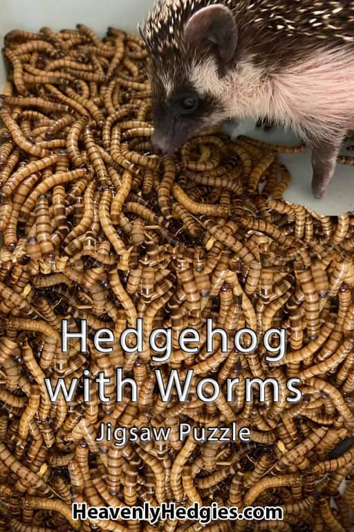picture of a hedgehog in a bed of worms