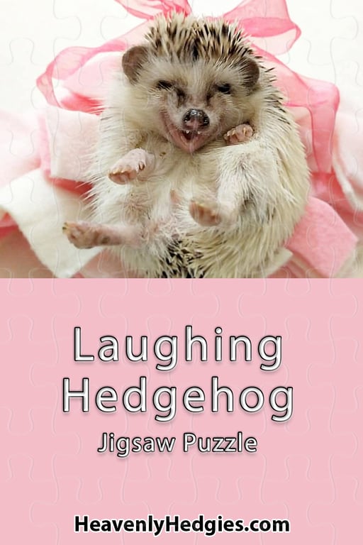 picture of a hedgehog laughing on a pink bow